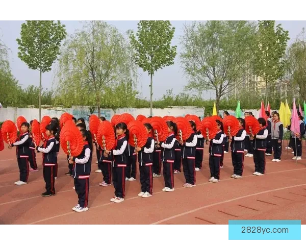 亚运会盛大开幕点燃激情赛事与文化交融新篇章