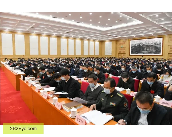 围绕纽斯发展历程城市文化创新动力的深度观察与未来蓝图战略前瞻