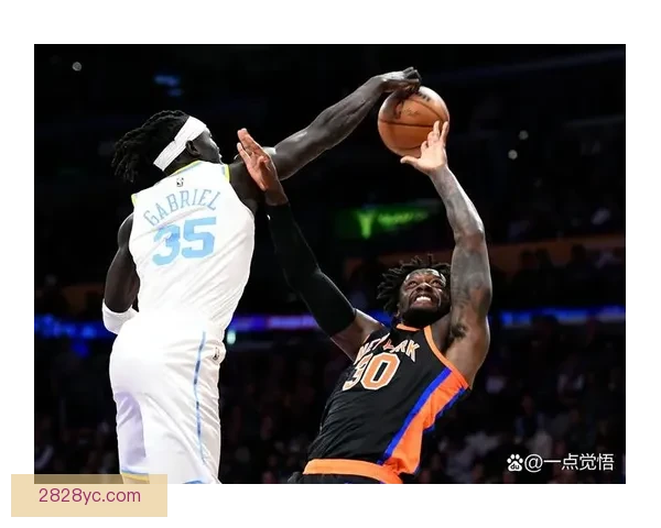 纽约尼克斯客场战胜萨克拉门托国王轻松取得103比87大胜